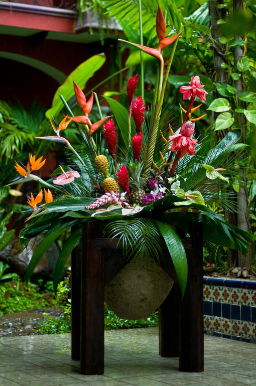 Hotel Boutique Casona Maya Mexicana Tapachula Exterior photo